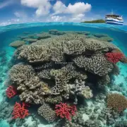 珊瑚岛如何将土地收回？