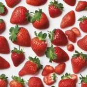 如何找到长期供应长丰回收草莓的地方或网站？