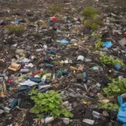 什么是最环保的方法回收废弃物？