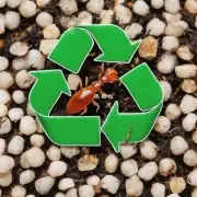 为什么有些人认为回收利用蚂蚱是有益于环境保护而不是有害之举？