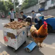对于那些住在南京市新街口地区的居民来说他们能否参加任何形式的回收土鸡计划？如果是的话该如何操作并获得所需的信息和指导？