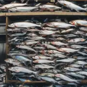 为什么要在闲鱼回收平台上进行验证呢？