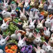 遂宁有哪些地方可以找到回收兔子？