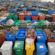 什么是废物分类和垃圾分拣的意义以及作用？