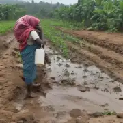 在我的世界中有哪些方法可以在下雨的时候为农民提供充足的饮用水来源吗？