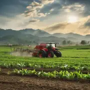 如何确保农民能够合理利用现有资源并最大限度提高农产品产量而不损害生态环境？