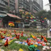 我想知道南京市雨花台区是否可以进行回收土鸡活动如果无法参与此类活动是否能够在其他方面寻找到类似的食品供应方式？