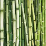 在我所在的社区中是否存在对竹子进行再利用和销售的地方吗？