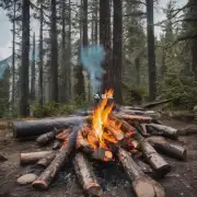 What are the best practices for safely disposing of an old campfire?安全处理旧篝火的最佳实践是什么？