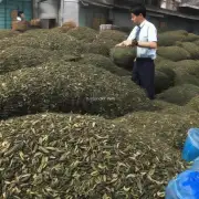 在上海市哪里有高价回收茶叶的地方？