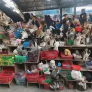 贵阳市区内有没有专门收集和处理废旧宠物用品的地方吗？