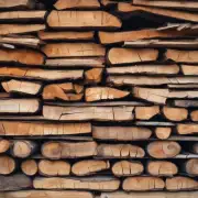 如何找到合适的位置进行 回收木材呢？