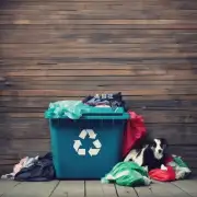 你知道旧衣回收和宠物管理之间有什么关联吗？