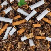烟叶在回收后是否能够被重新加工成烟草制品?