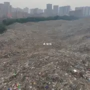 武汉市江夏区有几个垃圾处理厂?