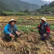在云南省农村地区农民对秸秆回收有什么看法和态度?