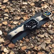 Apple Watch 可以在任何地方回收吗?