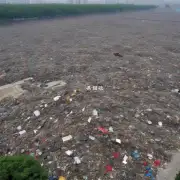 武汉市武昌区有几个垃圾处理厂?