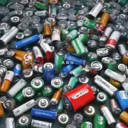 你是否认为政府机构应该提供更多的资金支持以帮助建立一个高效率的废旧电池回收系统?