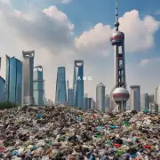在上海市中心城区对生活垃圾分类投放有什么要求和限制条件吗?