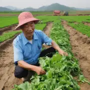 中国政府是否承诺支持农民通过土地回收获取更多收益?