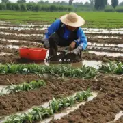 中国政府在实施农业现代化的过程中是否会对农民进行适当的培训和技术指导?