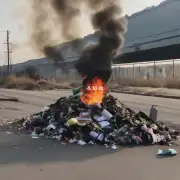 什么是垃圾焚烧?