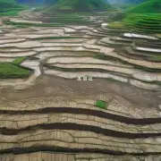 中国农村地区有哪些措施来应对农田退化和水土流失等问题?