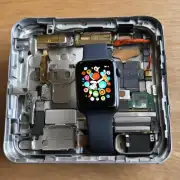 Apple Watch 可以拆卸电池和零件吗?