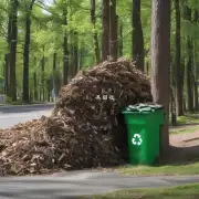 树木回收在哪里卖钱最快?
