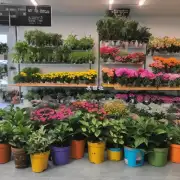 一盆花多少钱?在花店里买的植物价格是多少?