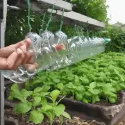 如何将废旧酒瓶改造成花园灌溉设备?