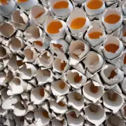关于快速回收处理蛋壳的现状与未来展望您有何看法和建议?