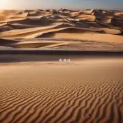 哪个国家拥有最多的沙漠?
