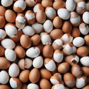 您对目前全球各地区对快速回收处理蛋壳的支持情况有了解吗?