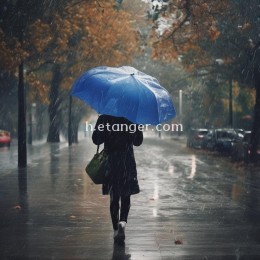 什么时候，雨水把眼泪悄悄覆盖，回忆在心里开始残落。