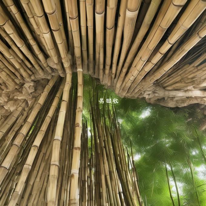 你是否知道一些当地企业如何使用竹子作为原材料生产产品?如果是的话是哪些公司?n你可以推荐一下有哪些网站可以帮助人们了解竹子及其相关产品的情况么？