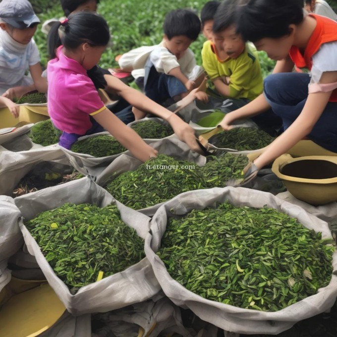 你知道一些有关于如何正确分类收集废弃茶叶的方法么？